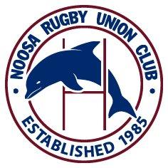 Correct Noosa Dolphins logo