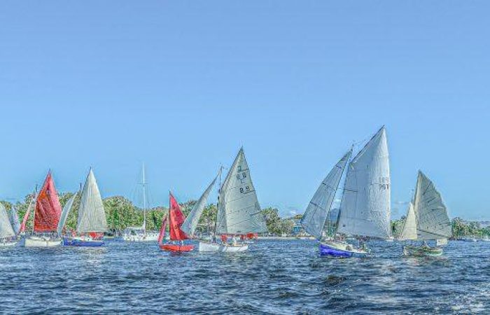 448065478_908837981257176_531918166509846555_n-1024x325