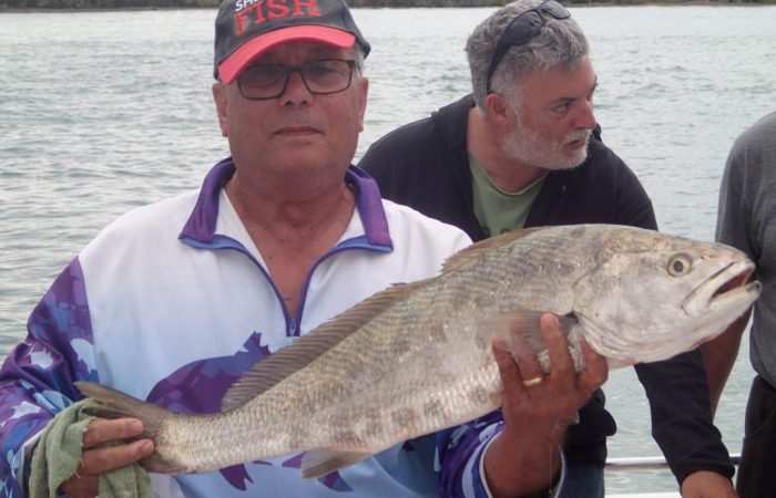 Adrian-Ferreira-ist-Charter-1024x768