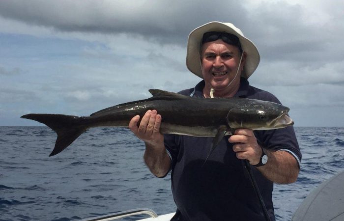 Vince-cobia-1024x768