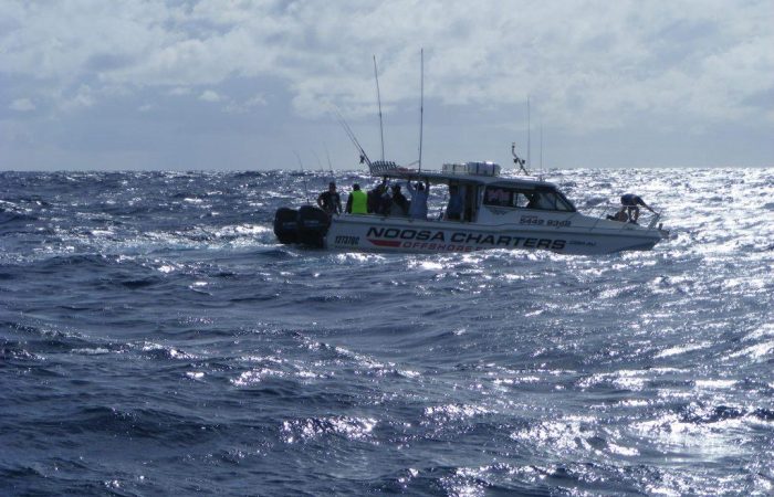 Wild-Thing-in-the-thick-of-it-1024x768